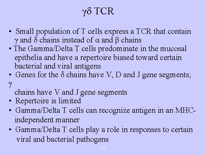 γδ TCR • Small population of T cells express a TCR that contain γ