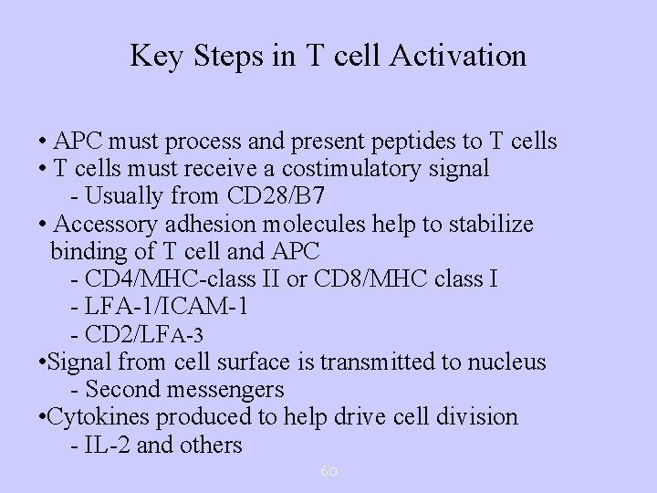 Key Steps in T cell Activation • APC must process and present peptides to