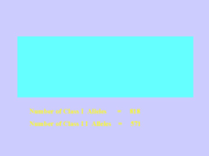 Number of Class I Alleles = 818 Number of Class I I Alleles =