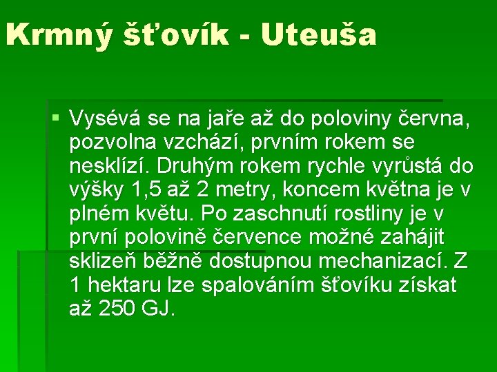 Krmný šťovík - Uteuša § Vysévá se na jaře až do poloviny června, pozvolna