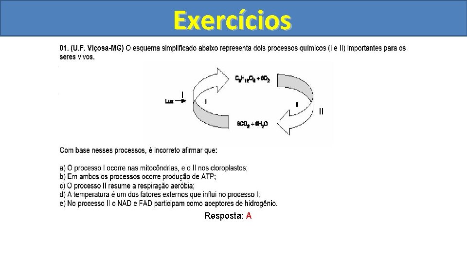 Exercícios I II Resposta: A 