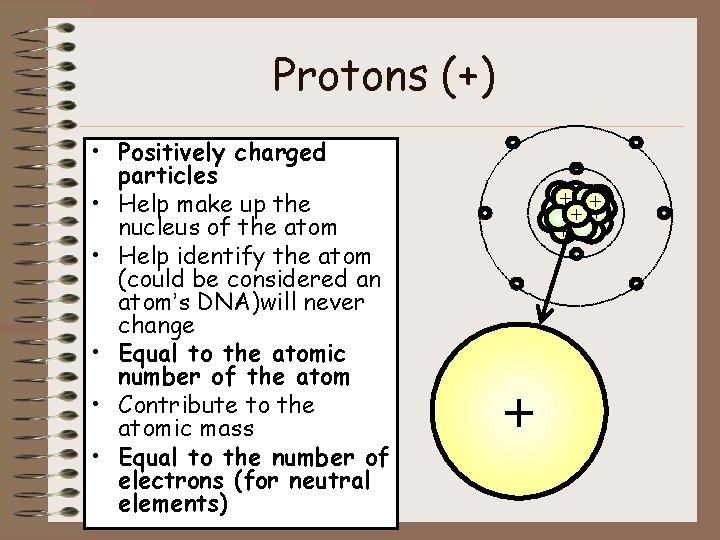 Protons (+) • Positively charged particles • Help make up the nucleus of the