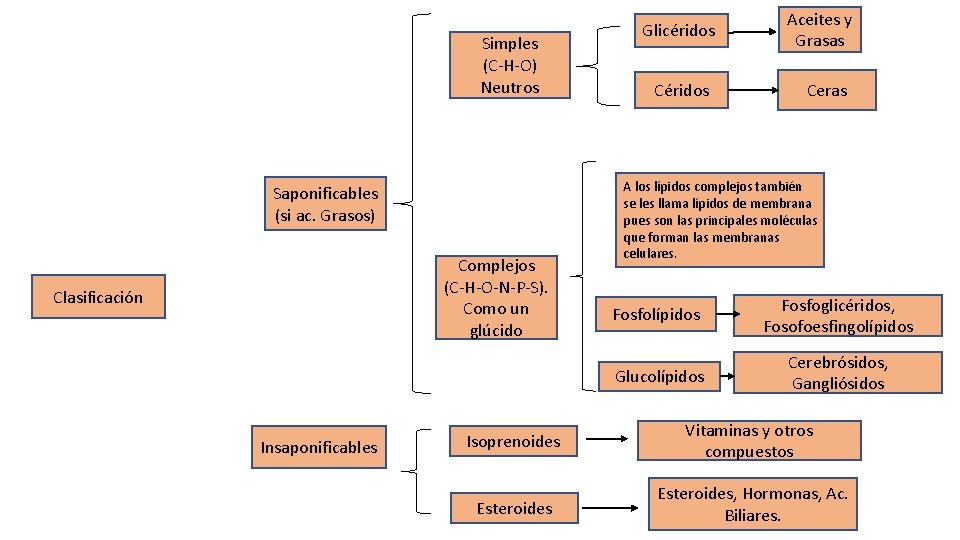 Simples (C-H-O) Neutros Saponificables (si ac. Grasos) Complejos (C-H-O-N-P-S). Como un glúcido Clasificación Insaponificables