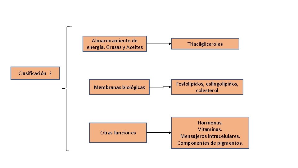 Almacenamiento de energía. Grasas y Aceites Triacilgliceroles Clasificación 2 Membranas biológicas Otras funciones Fosfolípidos,