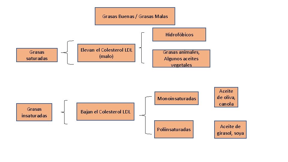 Grasas Buenas / Grasas Malas Hidrofóbicos Grasas saturadas Grasas insaturadas Elevan el Colesterol LDL