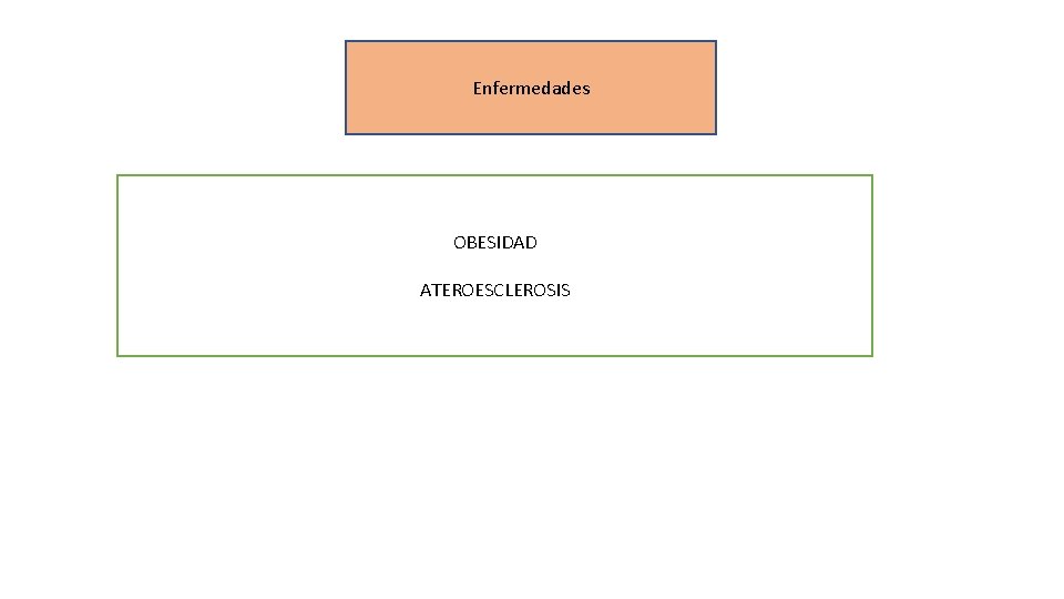 Enfermedades OBESIDAD ATEROESCLEROSIS 