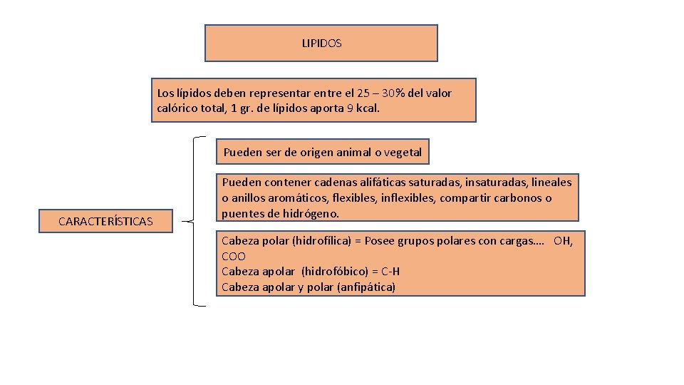 LIPIDOS Los lípidos deben representar entre el 25 – 30% del valor calórico total,