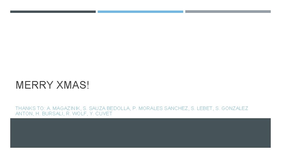 MERRY XMAS! THANKS TO: A. MAGAZINIK, S. SAUZA BEDOLLA, P. MORALES SANCHEZ, S. LEBET,