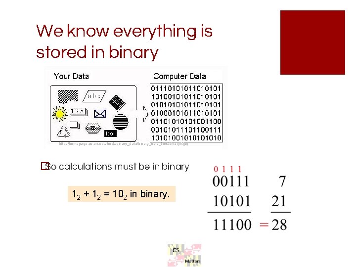 We know everything is stored in binary http: //homepage. cs. uri. edu/book/binary_data_files/binary 5. jpg We know everything is stored in binary http: //homepage. cs. uri. edu/book/binary_data_files/binary 5. jpg
