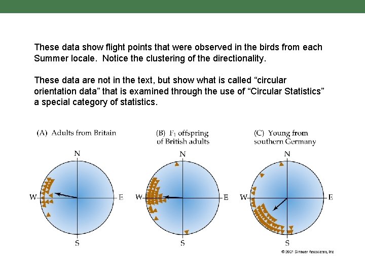 These data show flight points that were observed in the birds from each Summer