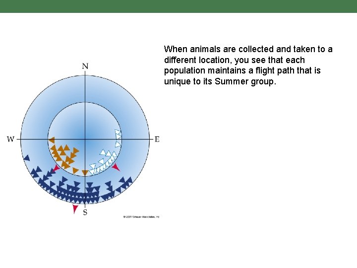 When animals are collected and taken to a different location, you see that each