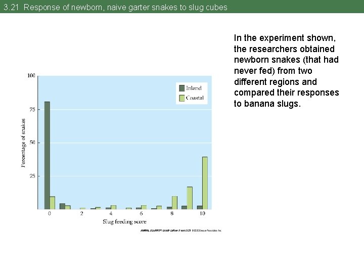 3. 21 Response of newborn, naive garter snakes to slug cubes In the experiment