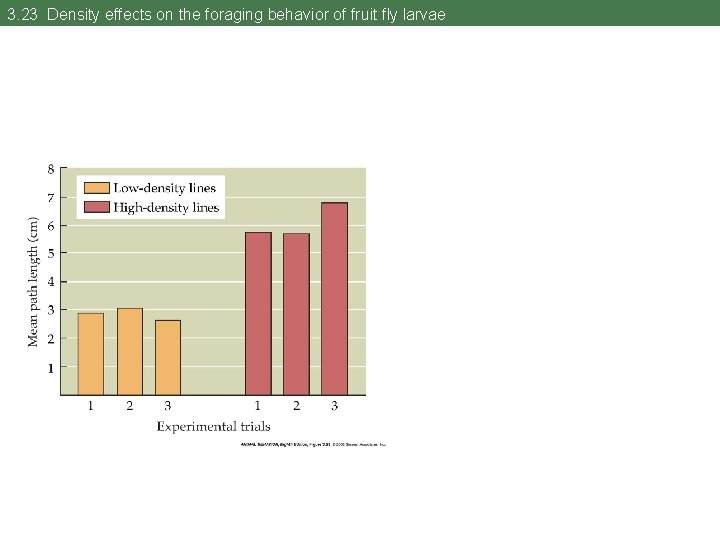 3. 23 Density effects on the foraging behavior of fruit fly larvae 
