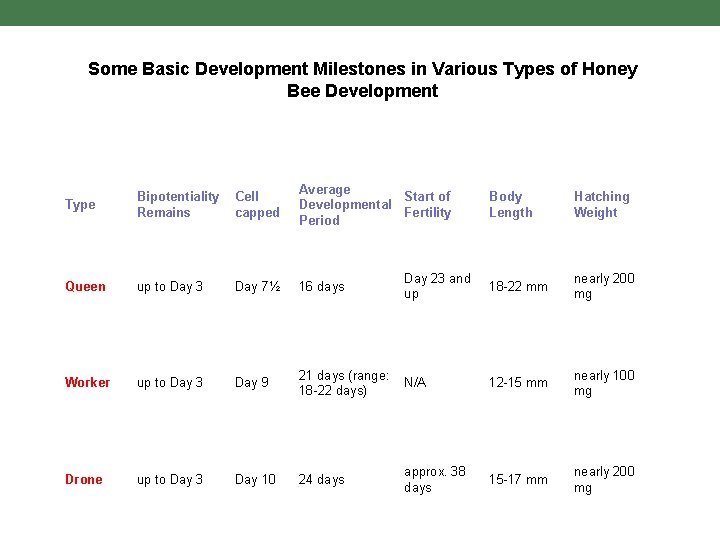 Some Basic Development Milestones in Various Types of Honey Bee Development Type Bipotentiality Remains
