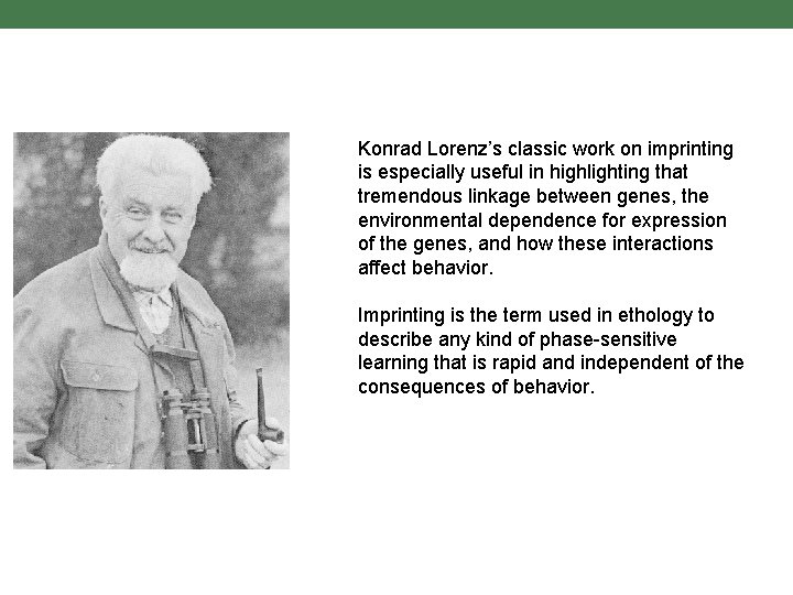 Konrad Lorenz’s classic work on imprinting is especially useful in highlighting that tremendous linkage