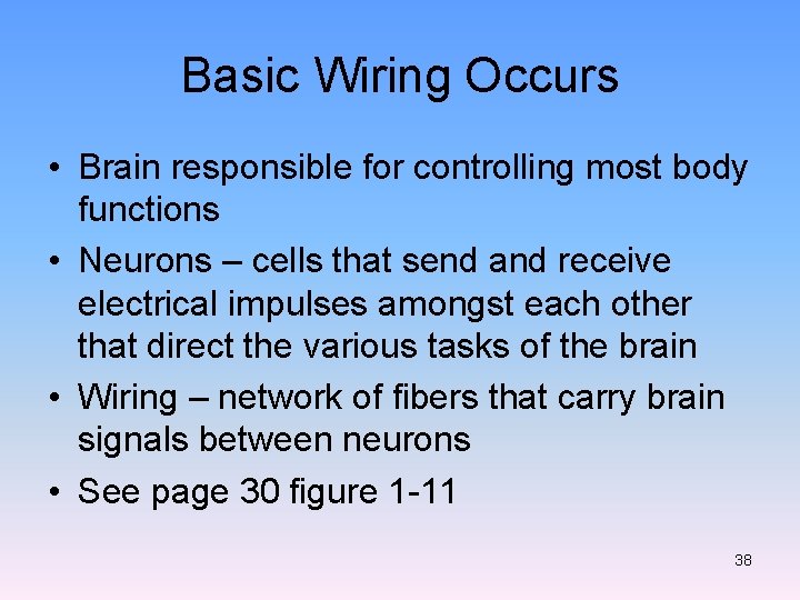 Basic Wiring Occurs • Brain responsible for controlling most body functions • Neurons –