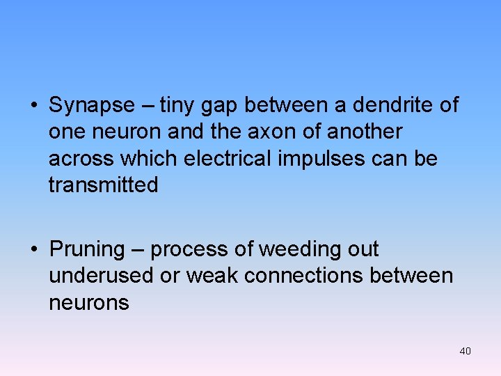  • Synapse – tiny gap between a dendrite of one neuron and the