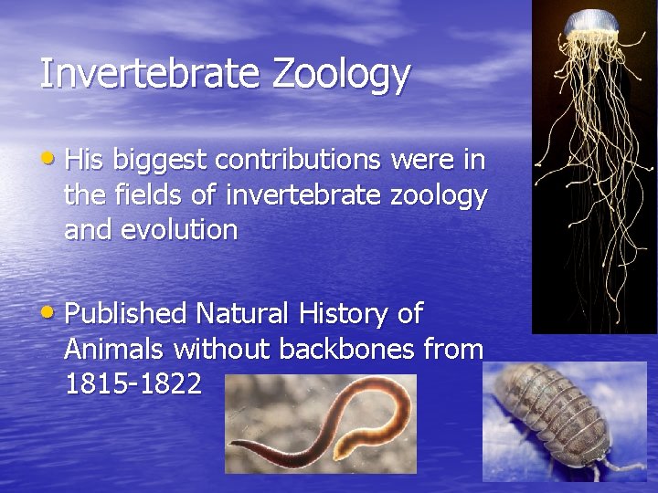 Invertebrate Zoology • His biggest contributions were in the fields of invertebrate zoology and