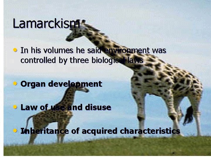 Lamarckism • In his volumes he said environment was controlled by three biological laws