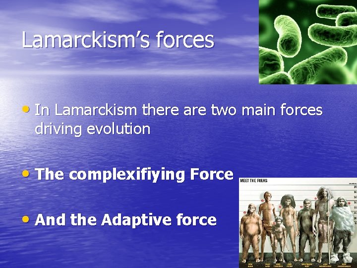 Lamarckism’s forces • In Lamarckism there are two main forces driving evolution • The