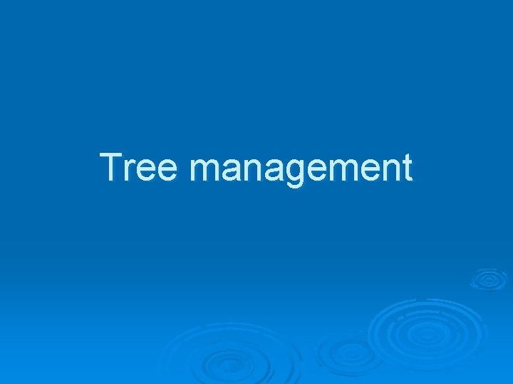 Tree management 