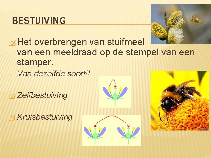 BESTUIVING Het overbrengen van stuifmeel van een meeldraad op de stempel van een stamper.