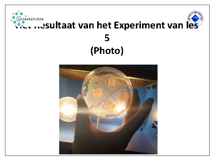 Het Resultaat van het Experiment van les 5 (Photo) 