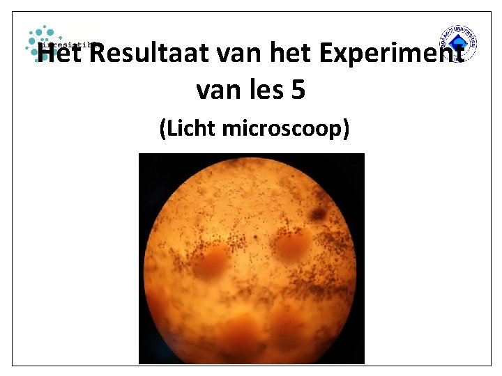 Het Resultaat van het Experiment van les 5 (Licht microscoop) 