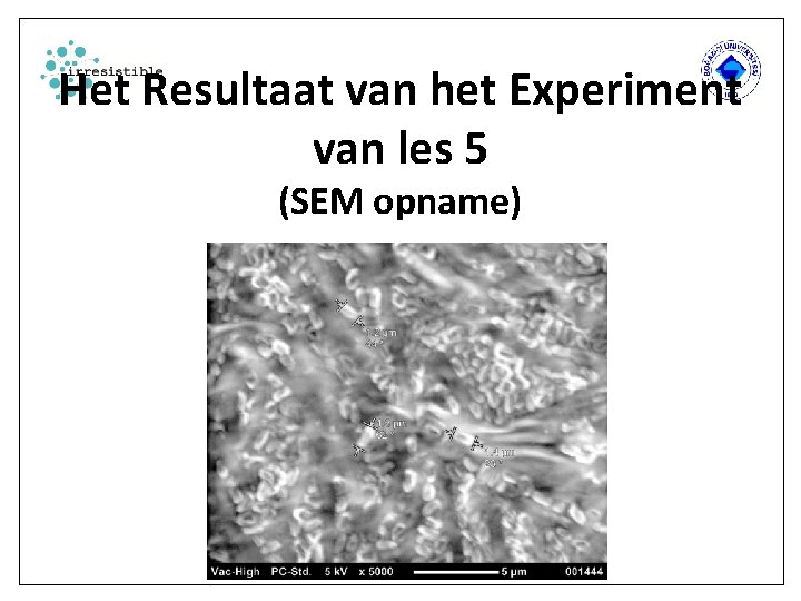 Het Resultaat van het Experiment van les 5 (SEM opname) 