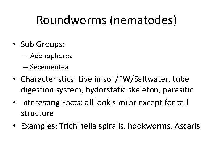 Roundworms (nematodes) • Sub Groups: – Adenophorea – Secementea • Characteristics: Live in soil/FW/Saltwater,