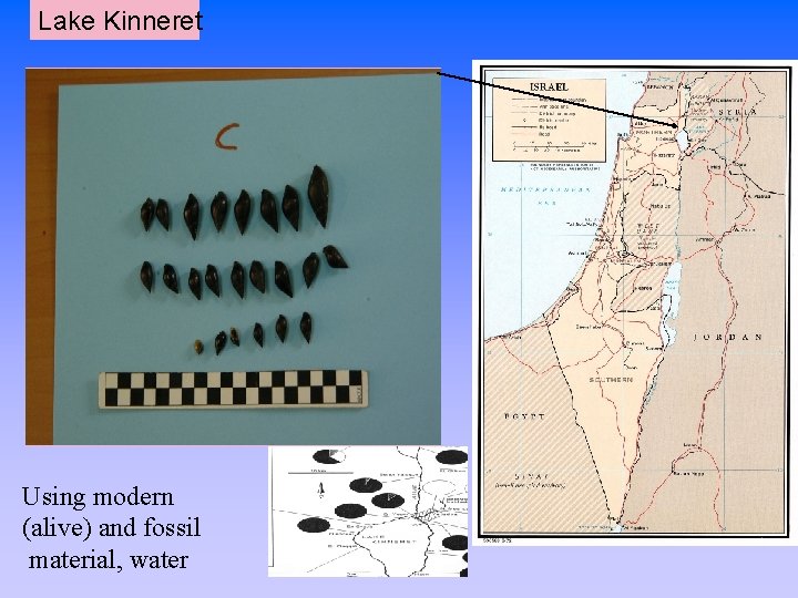 Lake Kinneret Using modern (alive) and fossil material, water 