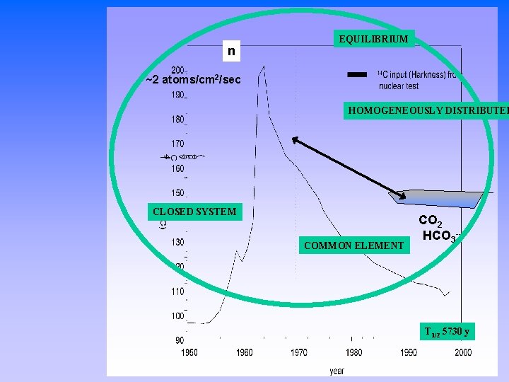 n EQUILIBRIUM ~2 atoms/cm 2/sec HOMOGENEOUSLY DISTRIBUTED CLOSED SYSTEM COMMON ELEMENT CO 2 HCO