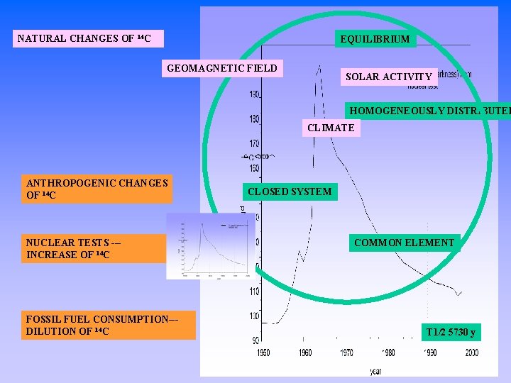 NATURAL CHANGES OF 14 C EQUILIBRIUM GEOMAGNETIC FIELD SOLAR ACTIVITY HOMOGENEOUSLY DISTRIBUTED CLIMATE ANTHROPOGENIC