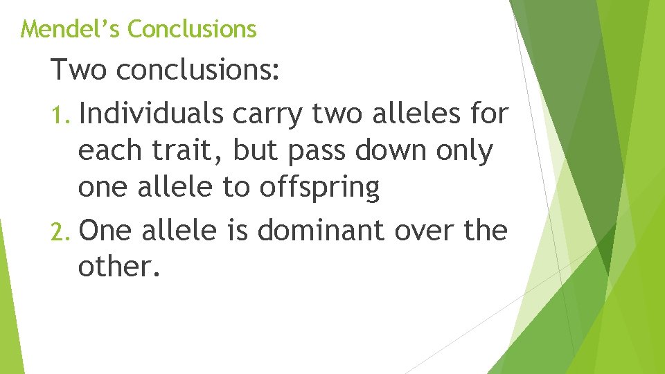Mendel’s Conclusions Two conclusions: 1. Individuals carry two alleles for each trait, but pass