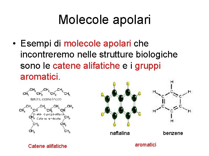 Molecole Polari Apolari Differenza Spiega A Un Bambino La membrana plasmatica 4 lezione struttura Tutte le