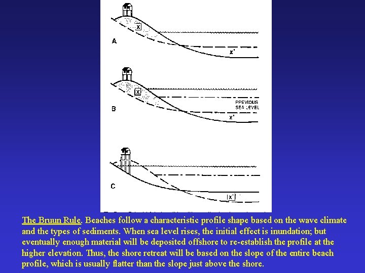 The Bruun Rule. Beaches follow a characteristic profile shape based on the wave climate