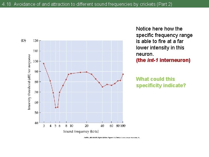 4. 18 Avoidance of and attraction to different sound frequencies by crickets (Part 2)