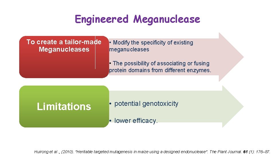 Engineered Meganuclease To create a tailor-made Meganucleases • Modify the specificity of existing meganucleases