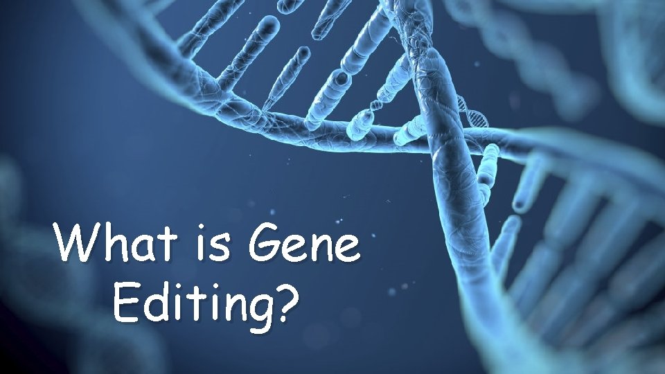 What is Gene Editing? 