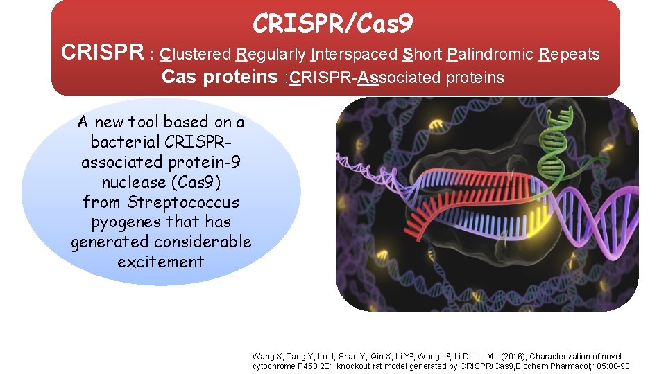 CRISPR/Cas 9 CRISPR : Clustered Regularly Interspaced Short Palindromic Repeats Cas proteins : CRISPR-Associated