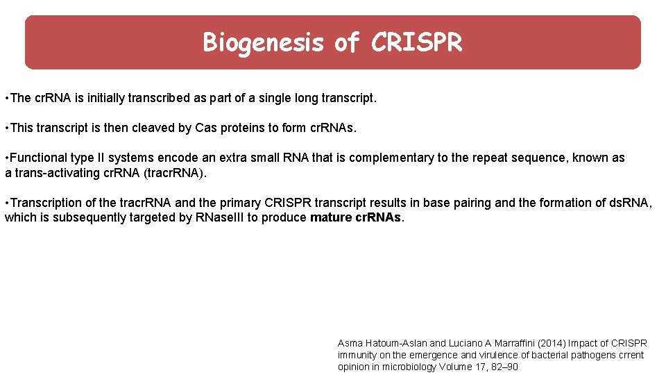 Biogenesis ofof CRISPR Biogenesis CRISPR : • The cr. RNA is initially transcribed as