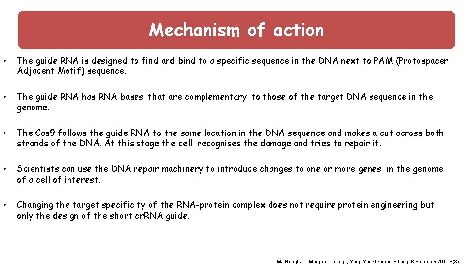 Mechanism of action : of action • The guide RNA is designed to find
