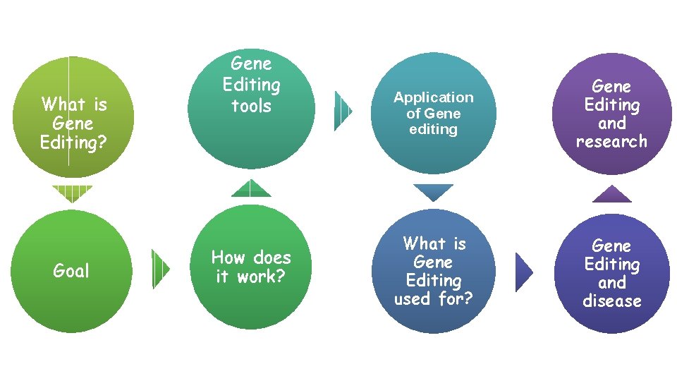 What is Gene Editing? Goal Gene Editing tools How does it work? Application of