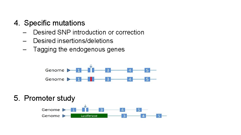 4. Specific mutations – Desired SNP introduction or correction – Desired insertions/deletions – Tagging