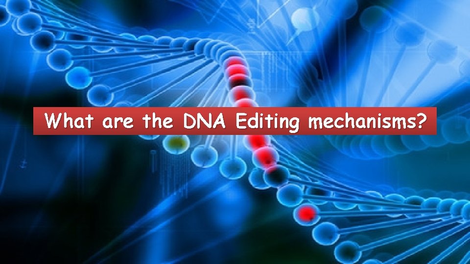 What are the DNA Editing mechanisms? 