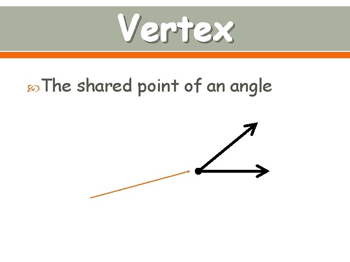 Vertex The shared point of an angle 