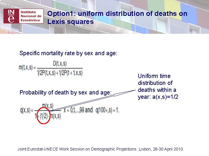 Option 1: uniform distribution of deaths on Lexis squares Specific mortality rate by sex