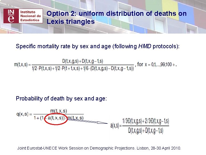 Option 2: uniform distribution of deaths on Lexis triangles Specific mortality rate by sex