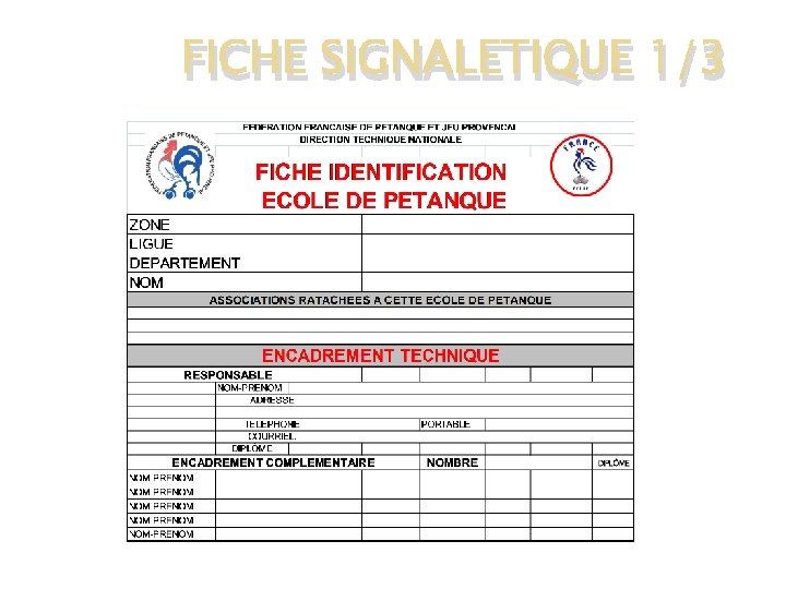 FICHE SIGNALETIQUE 1/3 