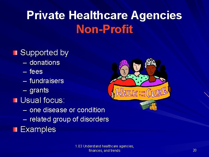 Private Healthcare Agencies Non-Profit Supported by – – donations fees fundraisers grants Usual focus: